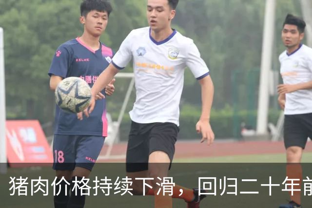 猪肉价格持续下滑，回归二十年前水平，国内需求似乎在削弱？